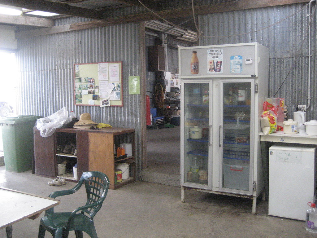 fridge under which there were dead mice kaileybee Flickr