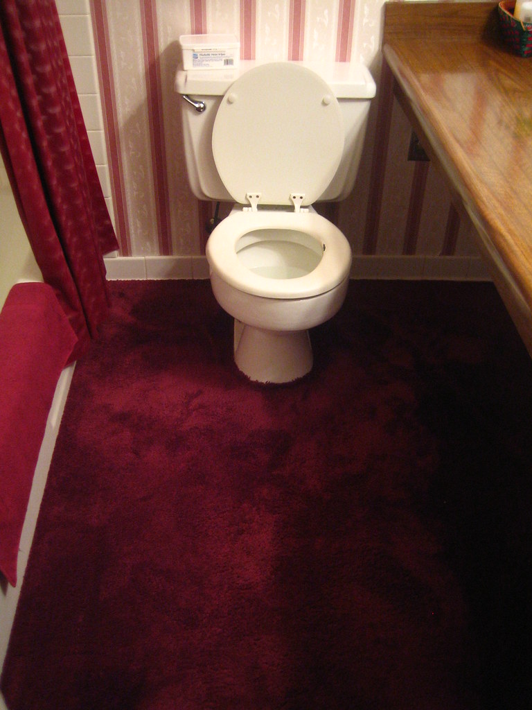 People Explain Why They Put Down Carpeting In Their Bathrooms