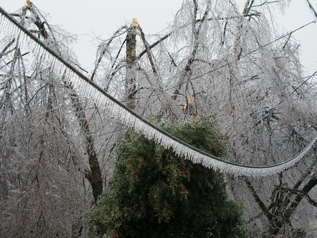 Frozen Power Line Ice storm in Springfield, MO, Jan. 2007.… Ken