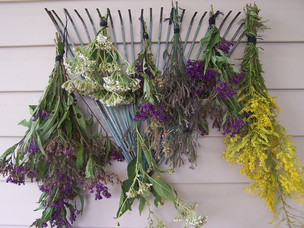 Wildflowers Drying frstyfrolk/Cyndi Flickr