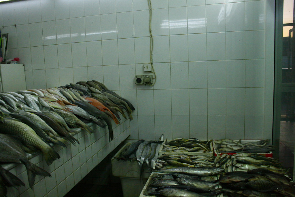 _MG_5639 karama fish market, dubai fumigene Flickr