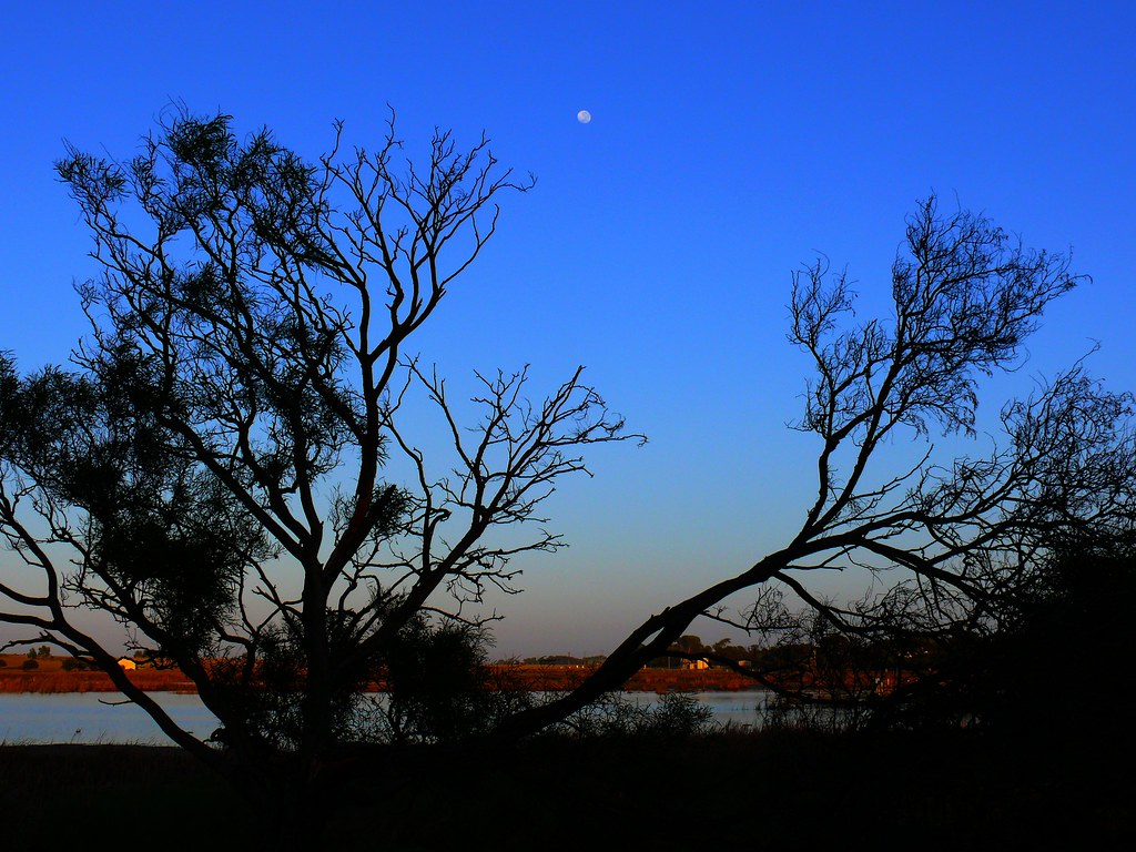 moonrise Clayton Bay, South Australia Darrin Flickr