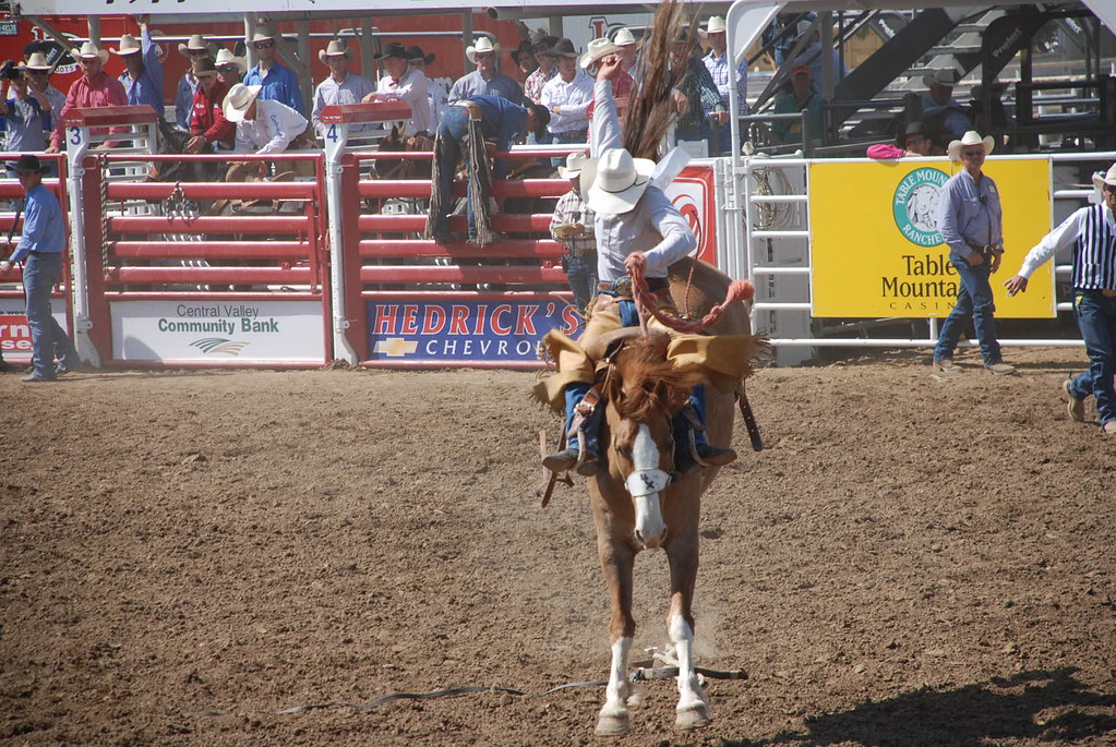 Clovis Rodeo 2008 Clovis Independent Flickr