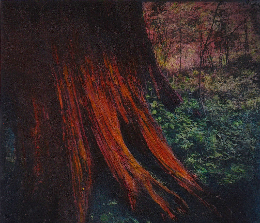 orange tree trunk hand painted photo Terri Waterman Flickr