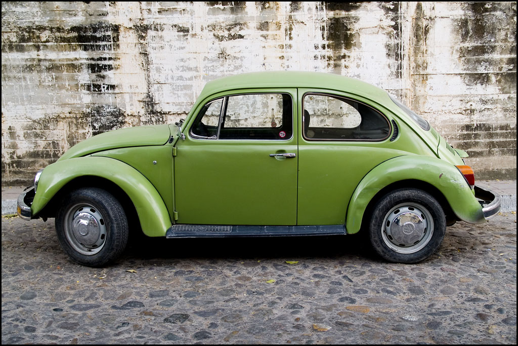 Green Bug Puerto Vallarta, Jalisco, Mexico EdFladung Flickr