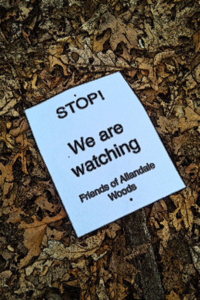 Allandale Woods Warning lizkdc Flickr