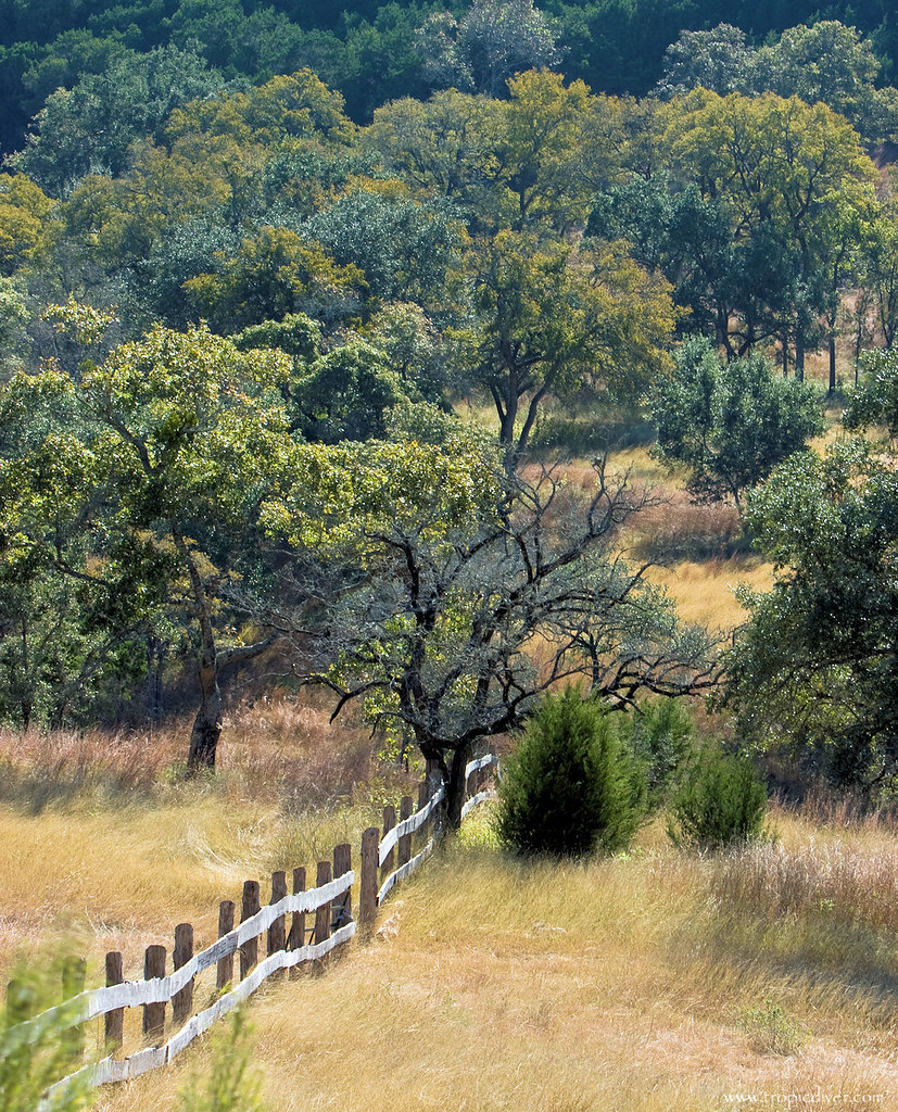 Wimberley, Texas Landscape Bob Flickr