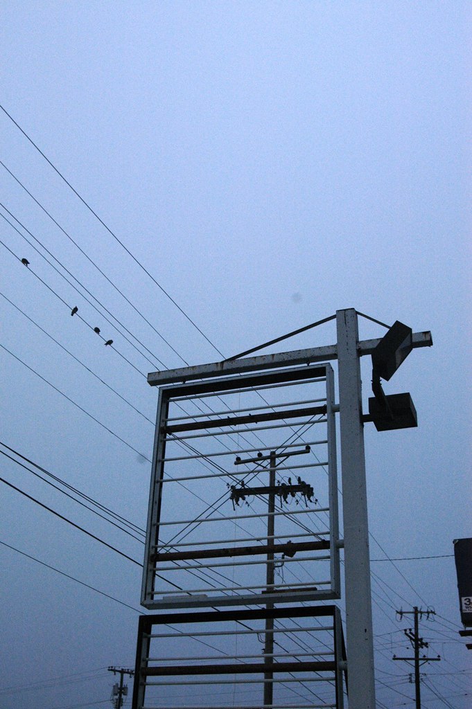 DeRenne Avenue 14 Preserving Savannah Neighborhoods Flickr