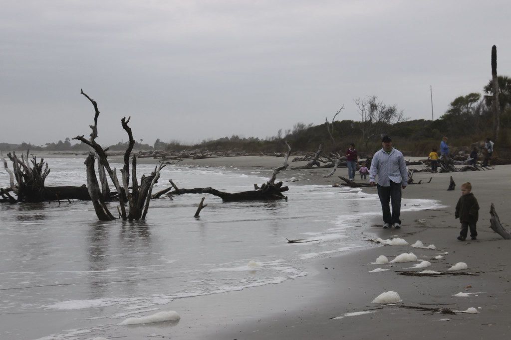 Eco Tour Barrier Islands Charleston, SC Tyler Flickr