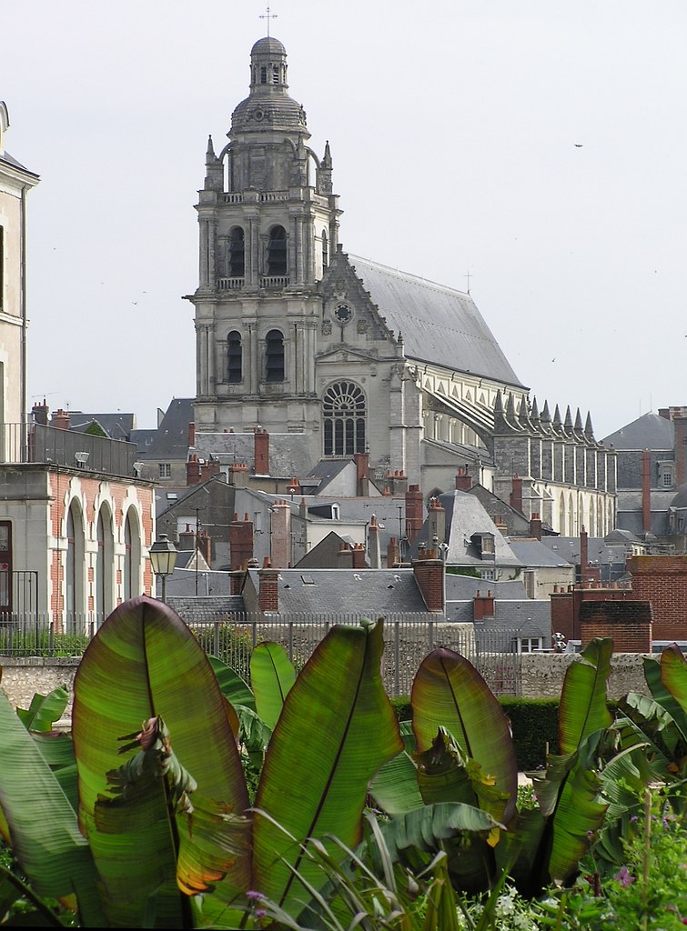 Blois Cathedral Blois is in The Loire Valley. We spent a v… Flickr