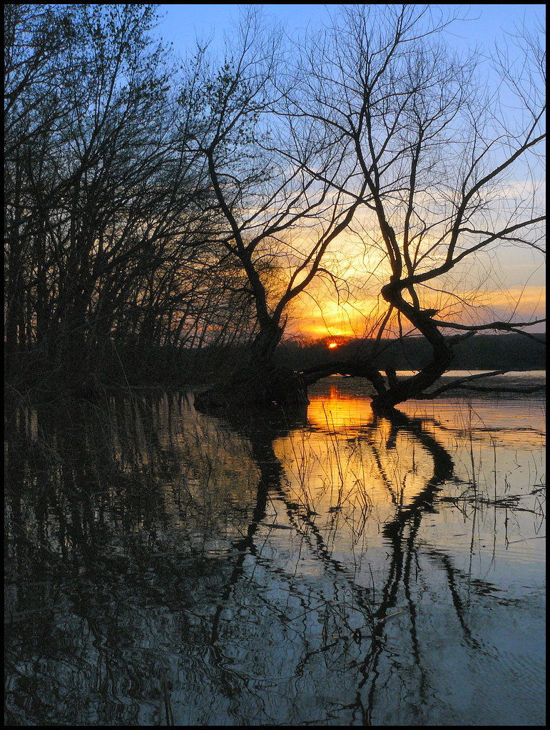 Lake Okmulgee Water Trees Thomas & Dianne Jones Flickr