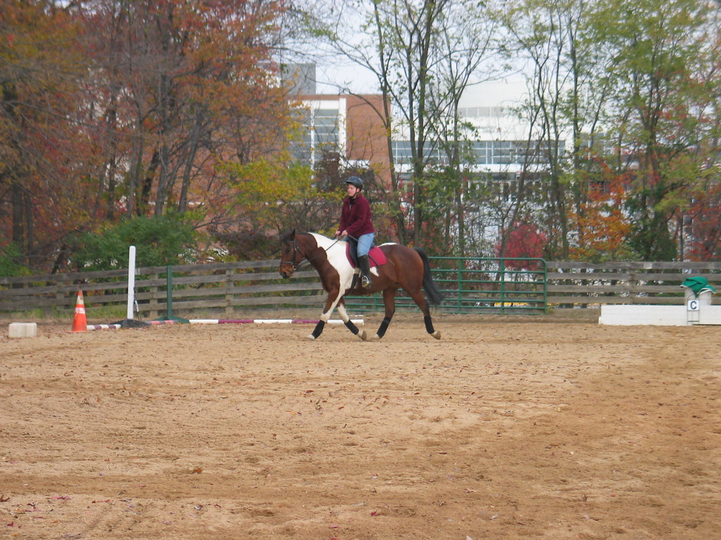 Julie & Chico Maryland Equestrian Club Flickr