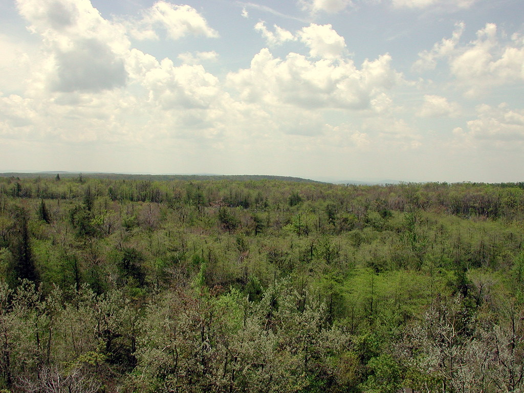 Mt. Davis,PA 5/17/04 Views abound from Mt. Davis lookout Todd