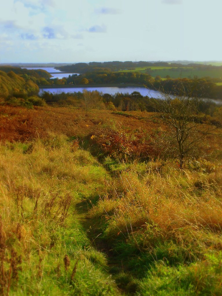 the bracken path Autumn at Anglezarke, near Bolton, Lancas