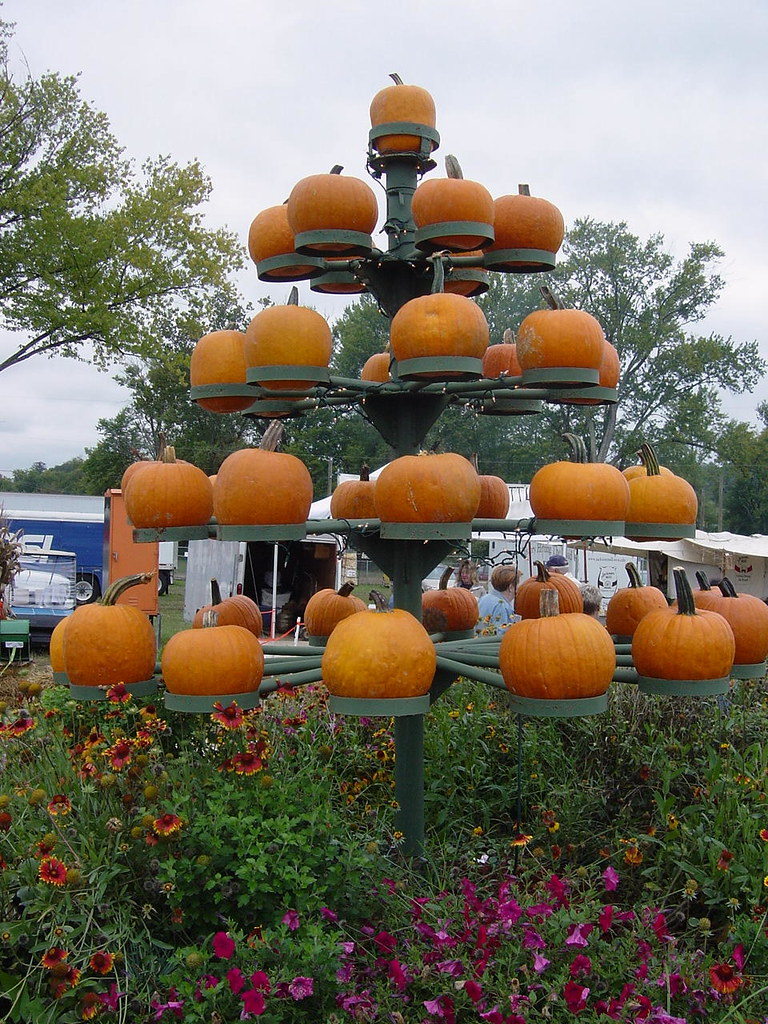 milton wv fall festival 2023 Pumpkin Tree At the Pumpkin Festival in Milton, WV. Sarah Cooper Flickr