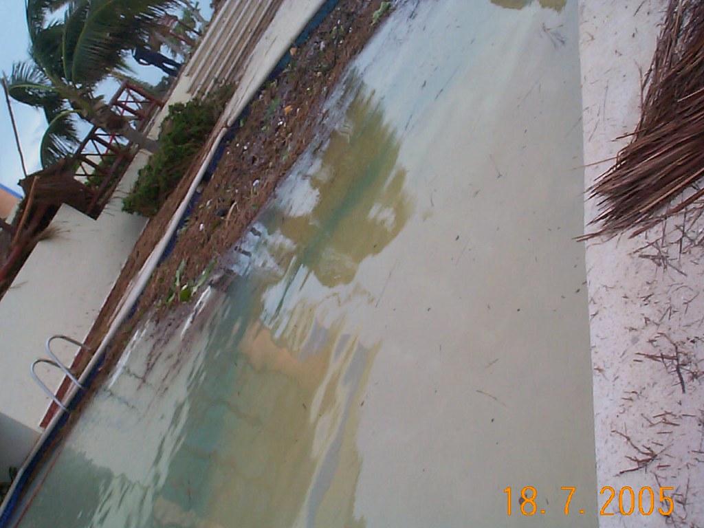 DCP00516 Tom Pfeifer Flickr