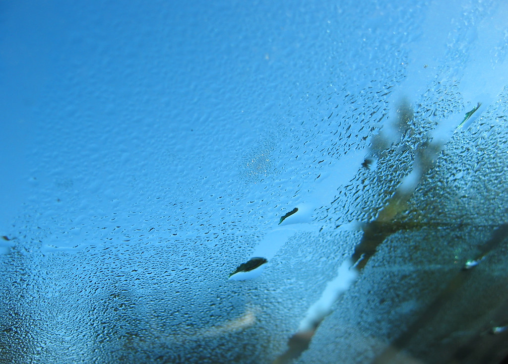Morning Dew Windshield morning. pfly Flickr