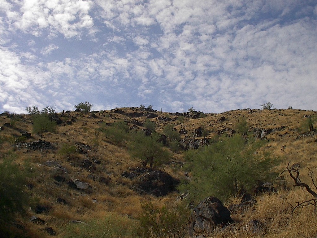 IM000700 Ranger Trail South Mountain AZ Manalishi Flickr