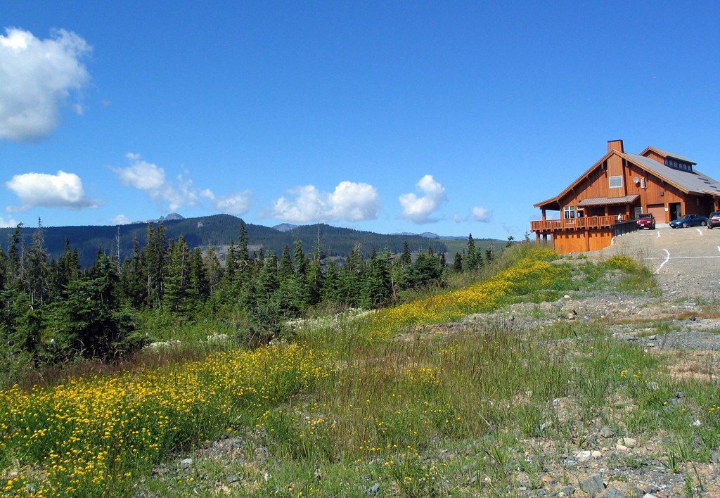 Cabin. Mt. Washington, Vancouver Island, BC. Jonathan Schwartz Flickr