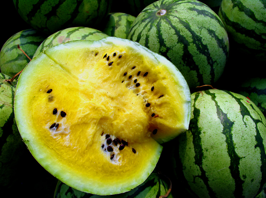 Yellow Watermelon a photo on Flickriver