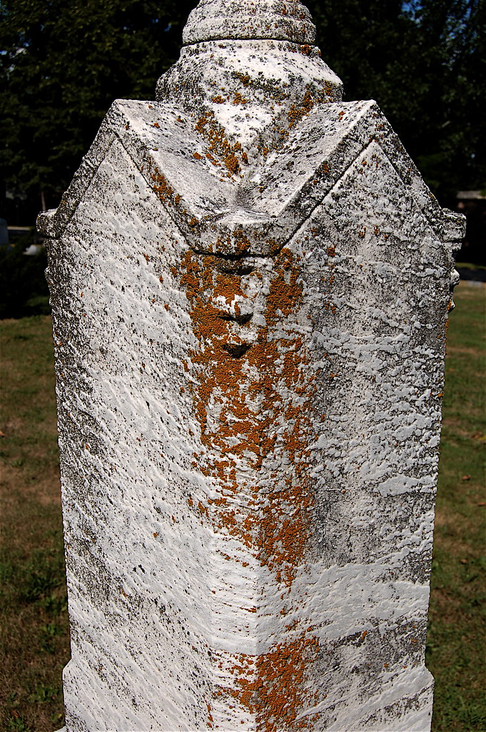 Cemetery. A cemetery in Madison, Wisconsin. Ann Althouse Flickr
