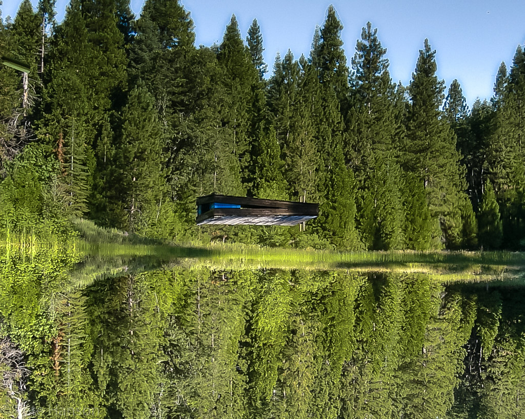 It's Magic Love Creek Ranch Avery, California 29 Jul 2005 … Flickr