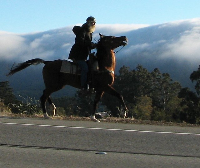The Horseman of San Mateo As I drive home from work I some… Flickr