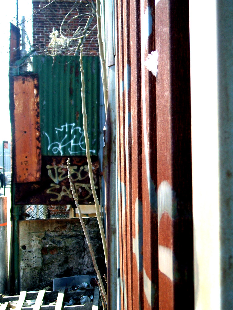 bushwick colours2 steel colours fences tree, bushwick D.OM Flickr