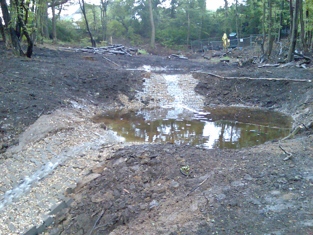 Reed bed construction in Coldfall wood The reed bed is alm… Flickr