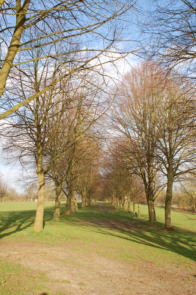 Avenue, Farnham Park Stephen McParlin Flickr