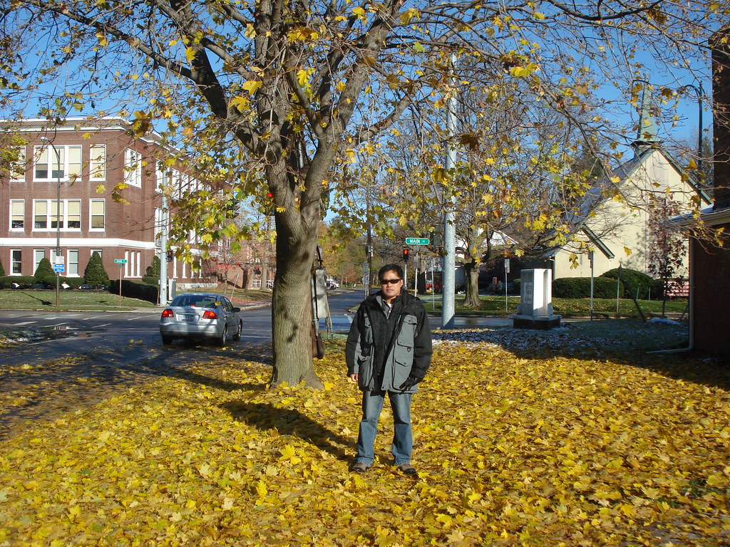 East Aurora' main street junparcasi Flickr