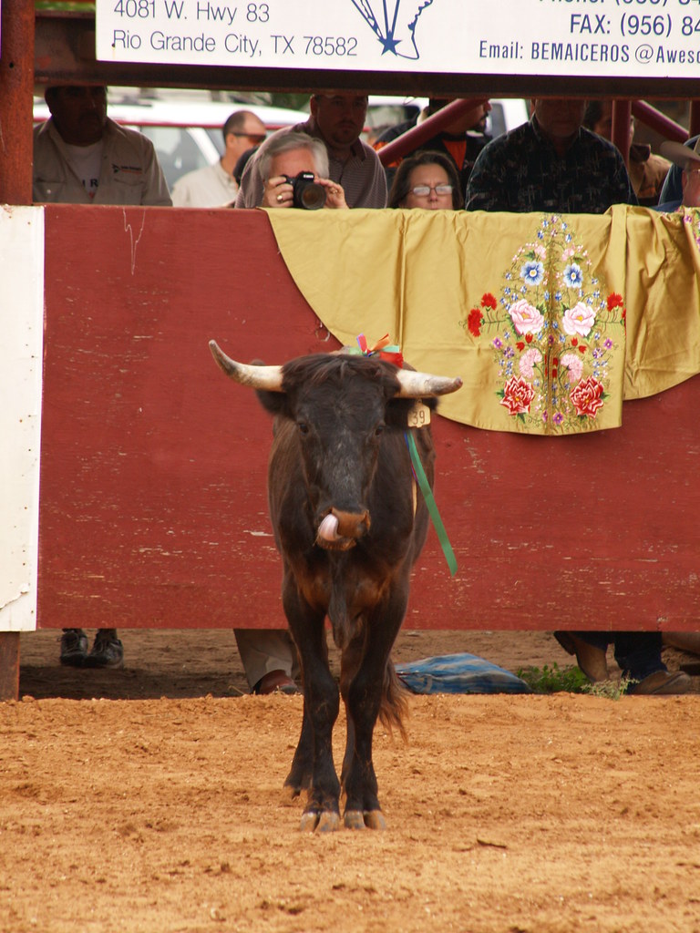 Le Gloria Texas Bullfighting Matador Santa Maria Bullring … Flickr