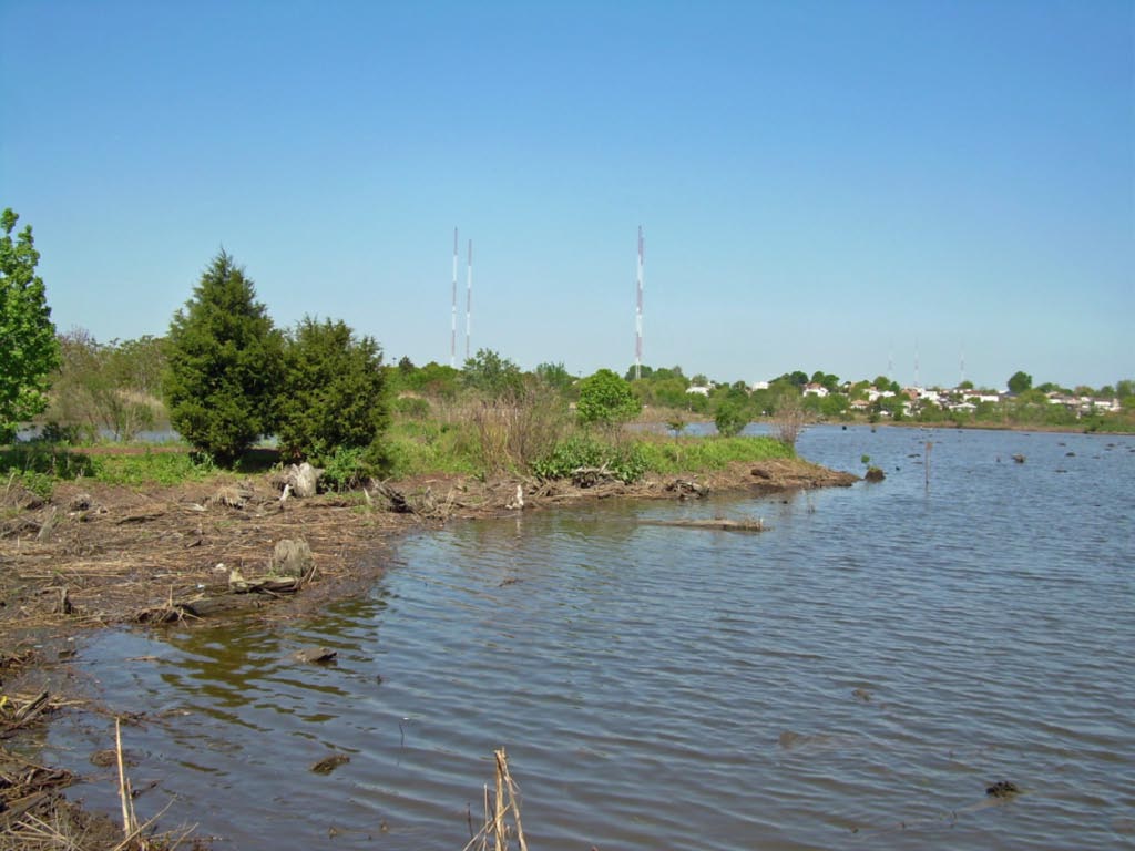 Mill Creek Marsh Trail Secaucus, NJ Morton Fox Flickr