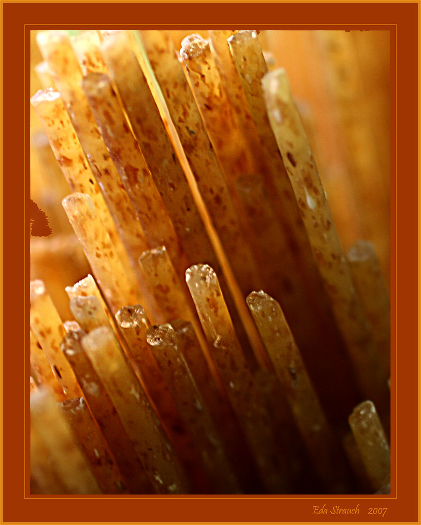 MACRO WEEK Day 1 KITCHEN MACRO PHOTOGRAPHY I Macro phot… Flickr