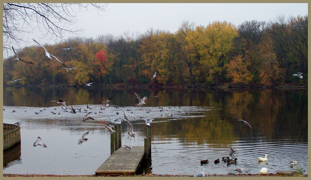 RIVERSIDE PARK Riverside park. Grand Rapids, Michigan. Tom Syrba