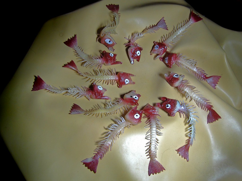 rubber fish skeletons composition These were made in the 6… Flickr