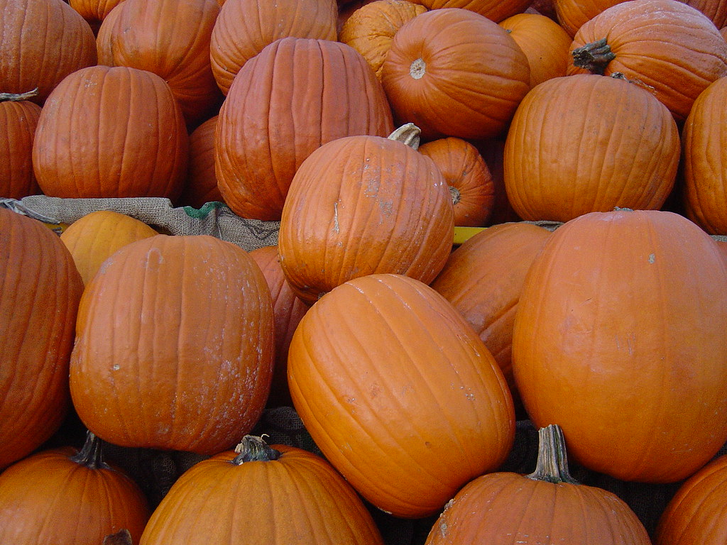 Calabazas/pumkins Pumpkins/calabazas jaipen73 Flickr