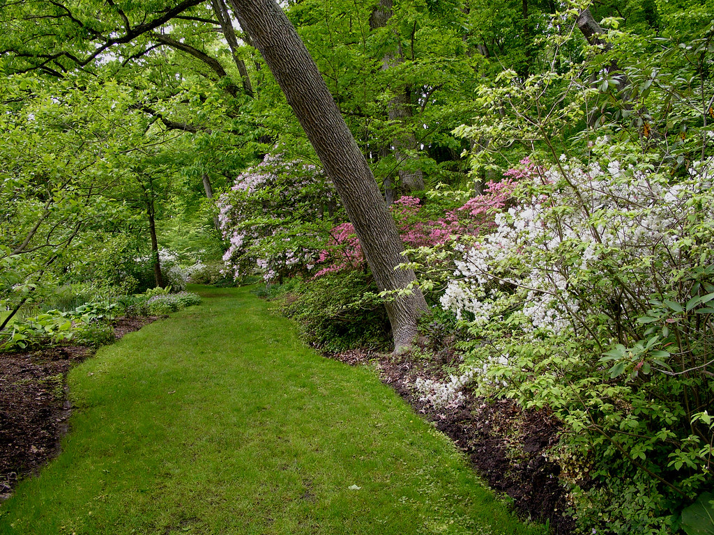 Leonard J. Buck garden Leonard J. Buck garden Far Hills … Flickr