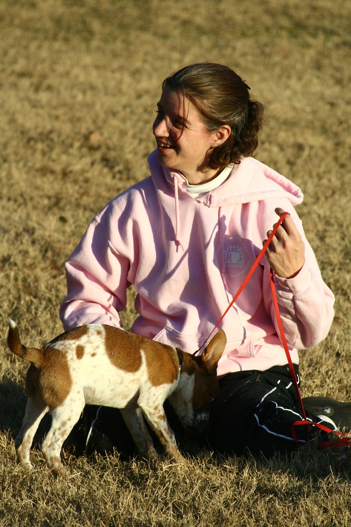 Superior Dog Training uptonia Flickr