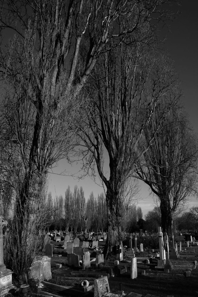 Cemetery Landscape 6 Leon Cato Flickr