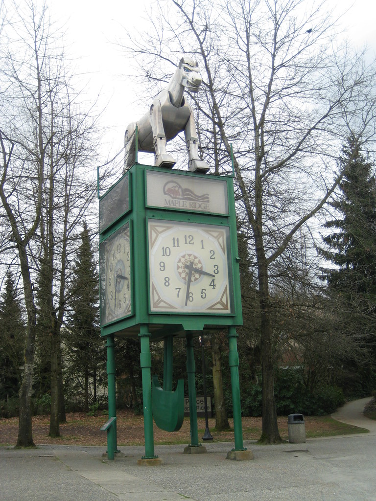 Maple Ridge horse clock tower A view of the horse clock to… Flickr
