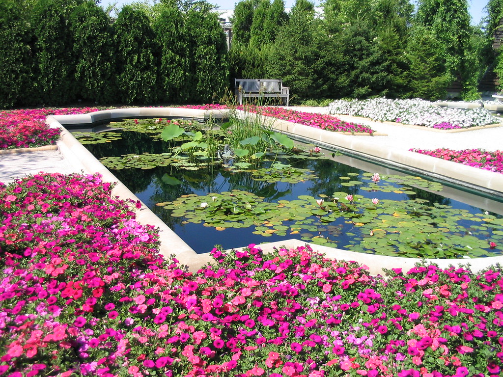 water garden taken while on vacation in Indianapolis ccdigitalfx