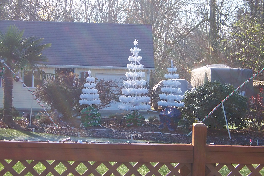 Todd and Margo's house the day after Thanksgiving Jennifer Keene Flickr