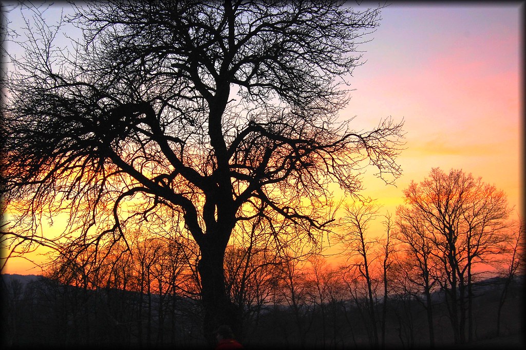 pure nature colours THIS COLOURS ARE PURE NATURE .. FROM A… Flickr