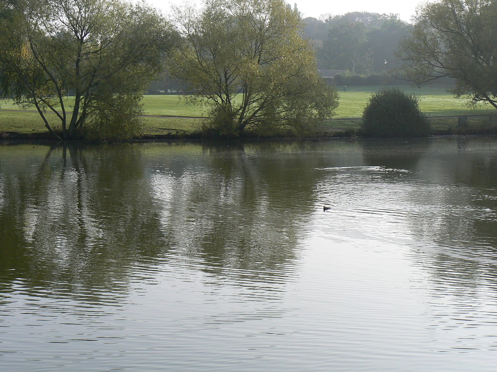 p1020262 Lake Meadows, Billericay , early morning, early a… Flickr
