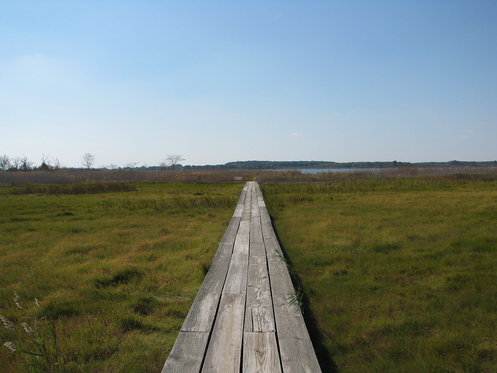 1600 Boardwalk to Beach Boardwalk to beach at Chesapeake B… Flickr