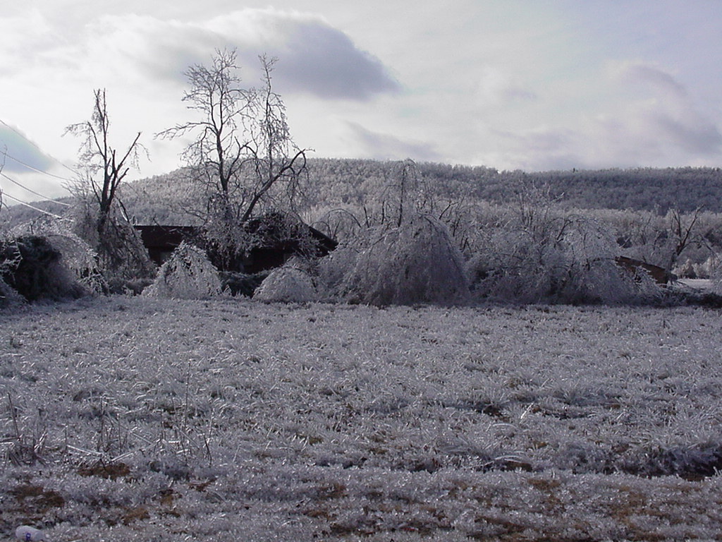 14 Quinton Oklahoma Icestorm122500 wiggyu2 Flickr