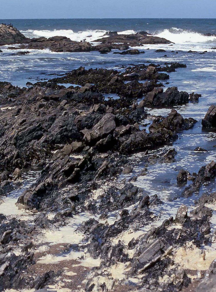 Bean Hollow State Park 1993 Karl Agre Flickr