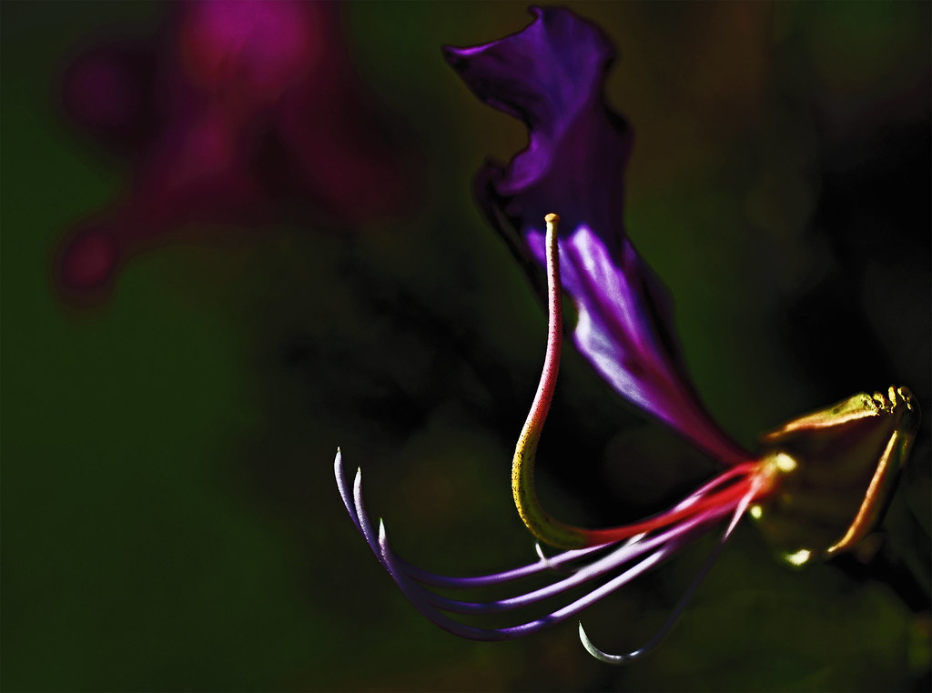 Untitled Jonathan Morse Flickr