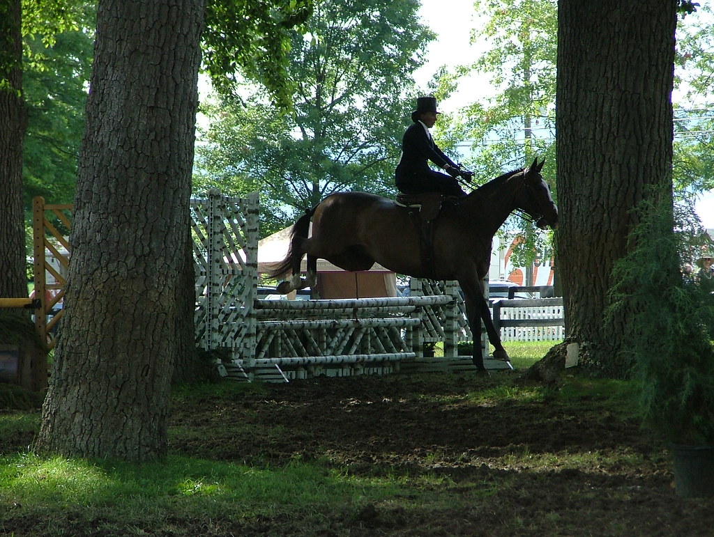 Sidesaddle Class Sidesaddle class Upperville VA Horse Show… Flickr